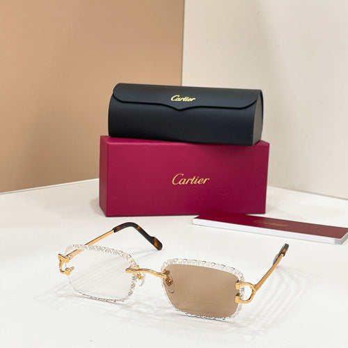 Cartier CT02032O Sunglasses