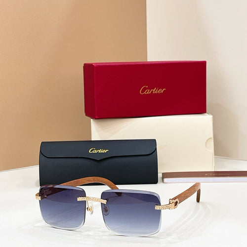Cartier CT0012 Sunglasses